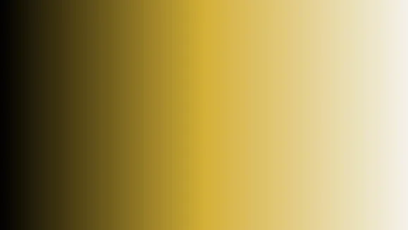 Palette : Noir + Or + Blanc cassé